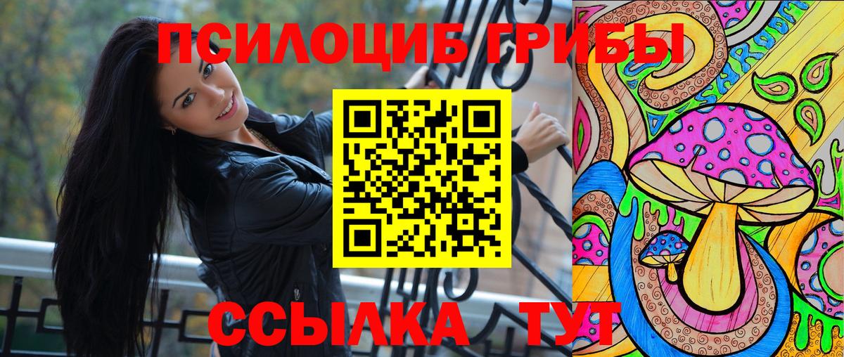 Сибай  Псилоцибиновые грибы мицелий  Вход с VPN 